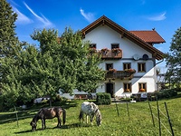 5 Sterne Bauernhof im Bayerischen Wald