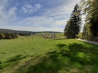 Pfingsten im Bayerischen Wald