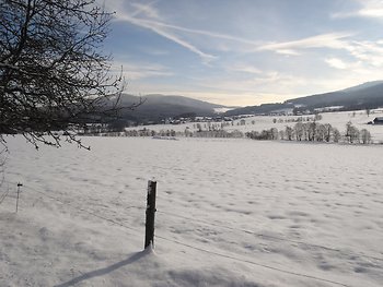 Winterblick nach Lindenau
