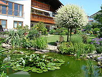 Ein Blick auf den Garten mit Teich
