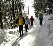Aktiv Wellness: Zertifizierte Nordic-Walking Kurse