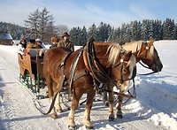 Winterromantik bei einer Pferdeschlitten/Pferdekutschenfahrt, auch für Gruppen möglich.