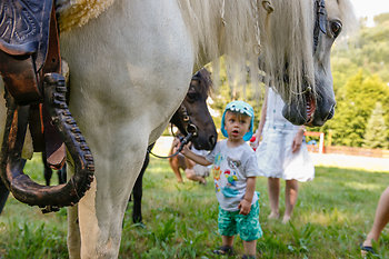 Reiten kann in der Umgebung dazugebucht werden.