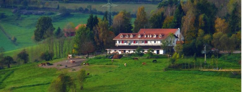 Pension Kapellenhof