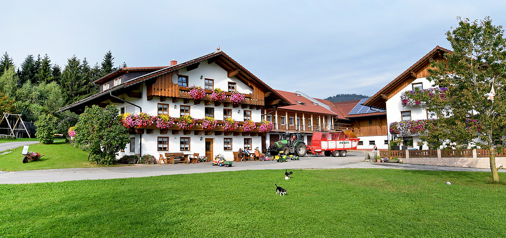 Oed-Hof, Familie Engl