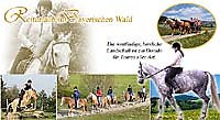 Reiten Bayerischer Wald