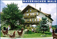 Familienurlaub in Bayern - Ferienhof Sommer