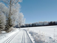 Langlauf Bayrischer Wald, Halbpension Sauna