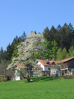 Osterzeit -Frühlingserwachen auf dem Bauernhof