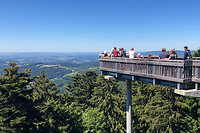 Familien-Hitwochen