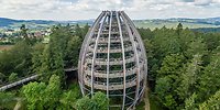 Wipfelstürmer