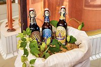 Adam´s bierige Wohlfühltage