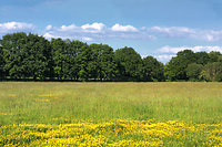 Sommertraum mit meinem Partner
