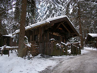 Adventsgeflüster - Schweinhütter Waldweihnacht