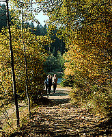 RADFAHRER MOTORRADFAHRER WANDERER