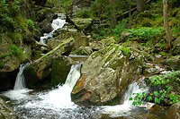 Entschleunigungstage