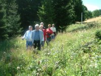 Pfingstwanderwoche im Bayerwald und Böhmerwald