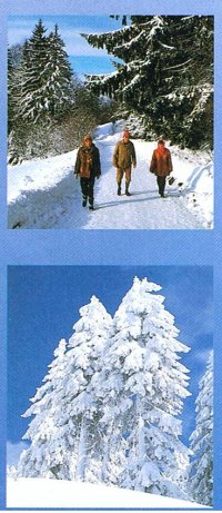 Winterspass abseits von Hektik u. Stress