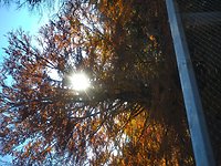 Osterurlaub im Bayerwald !