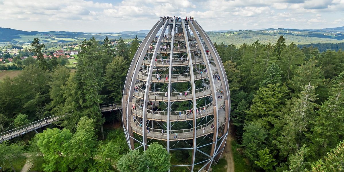 Wipfelstürmer