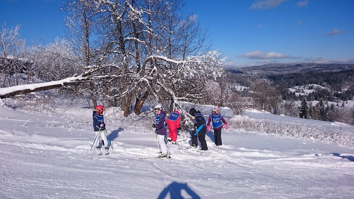 Skivergnügen im Skizentrum-Mitterdorf
