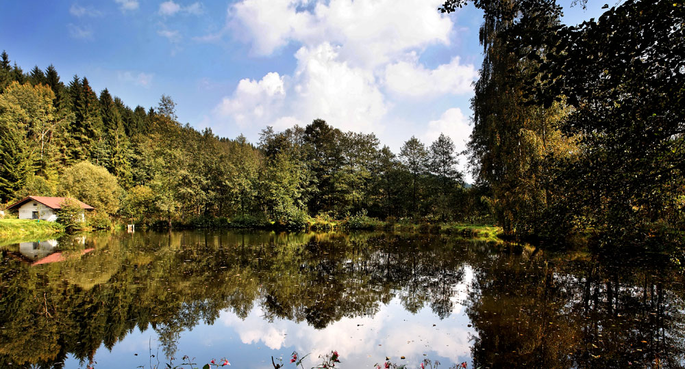 Angelwellness deluxe