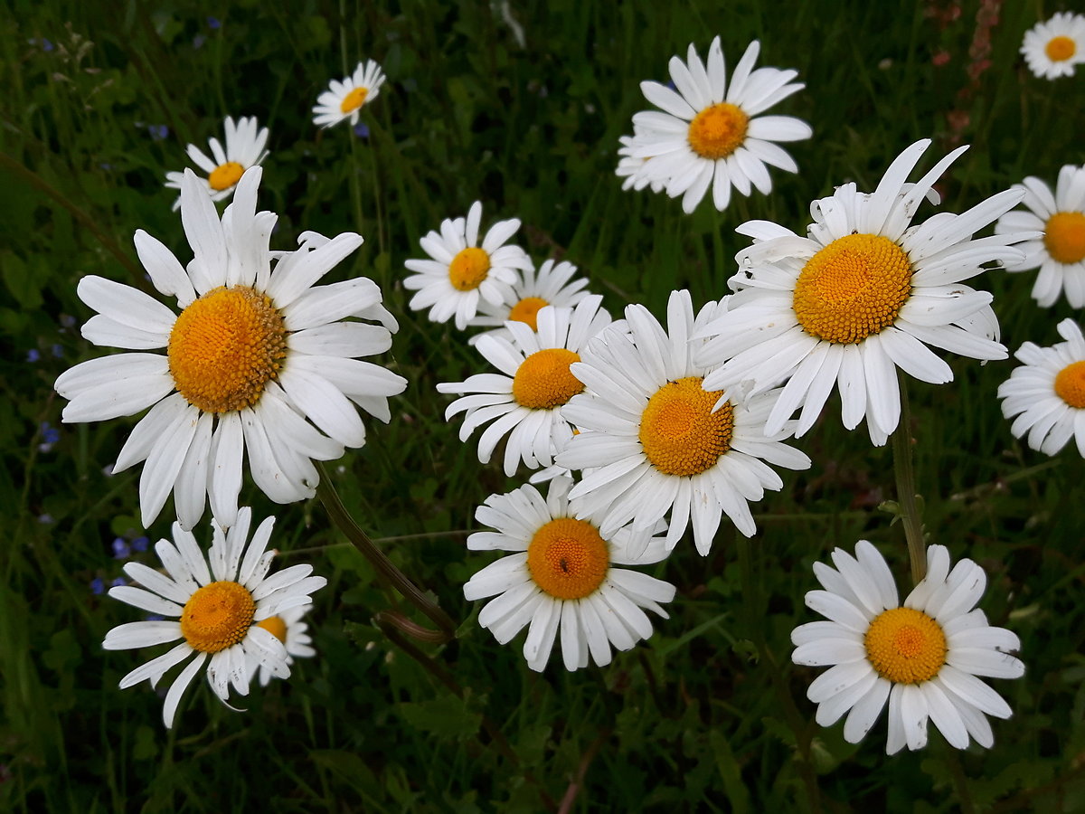 Wellness-Schnuppertage