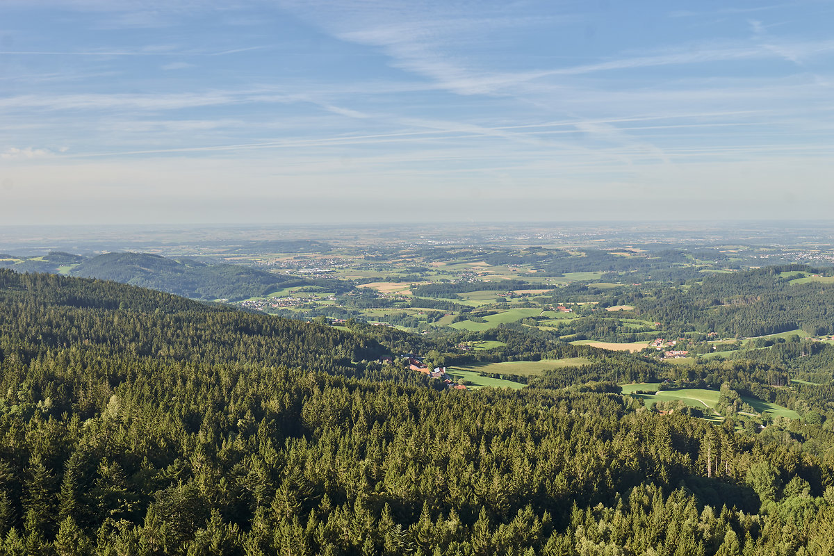 Schnöppchentage zum Jahresbeginn