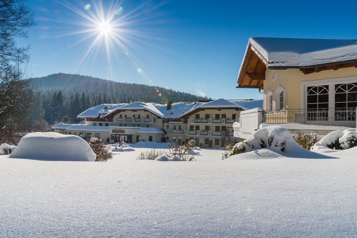 Hammerhof-Hit 2026 - 7 = 6