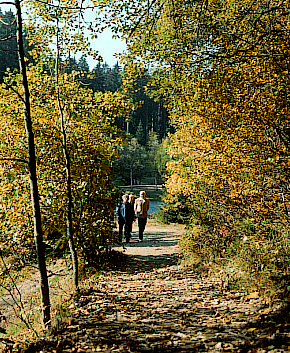 RADFAHRER MOTORRADFAHRER WANDERER