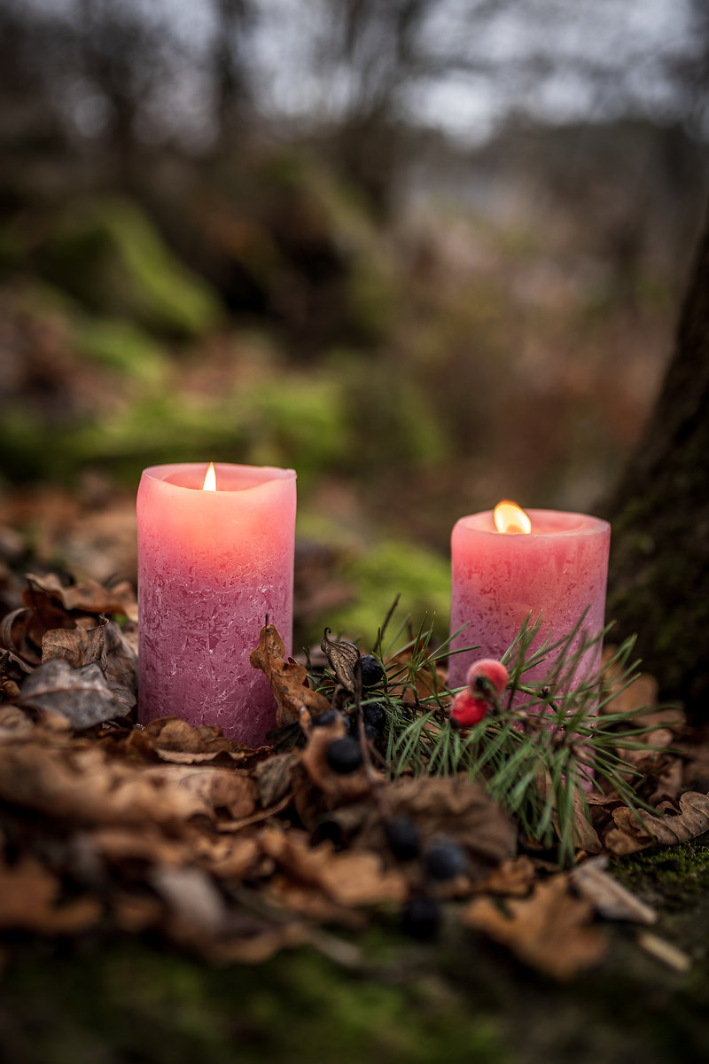 Adventswochen - Special Offer