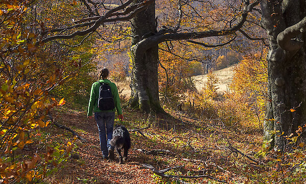 Herbst