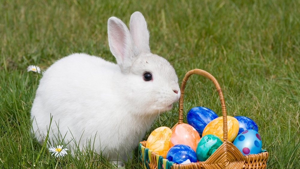 Osterferien Pauschale