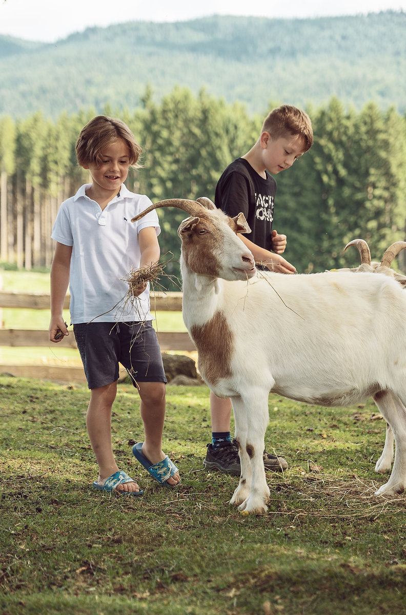 Familien-Bauernhof-Tage