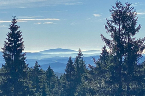 Ferienwochen :: Bayerischer Wald