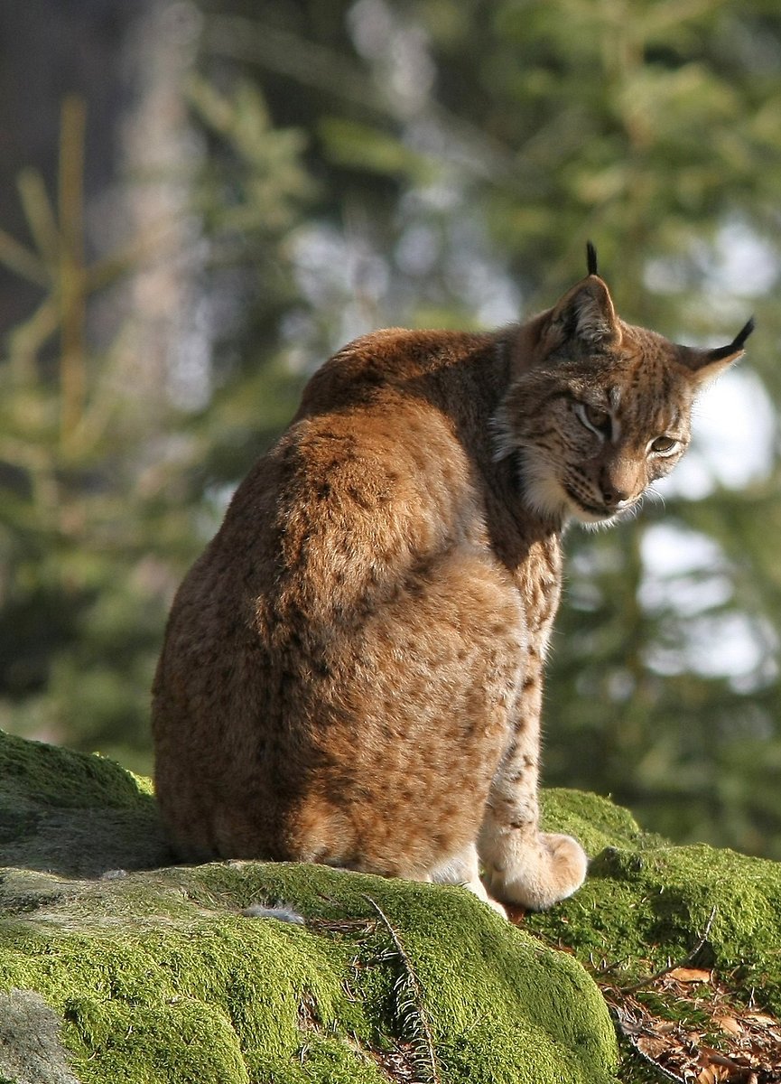 Herrliche Osterfesttage